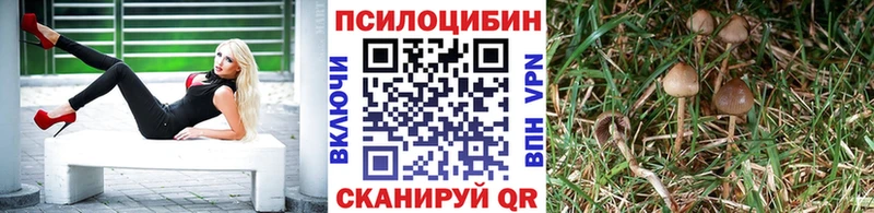 Галлюциногенные грибы Psilocybe  даркнет сайт  Кирс 