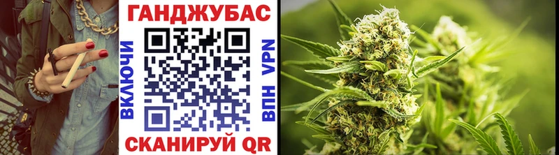 Конопля гибрид Кирс